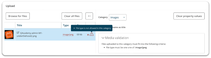 QBank-KB-validation-type2